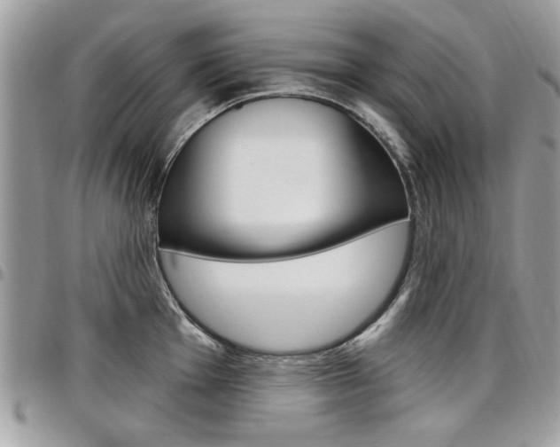 X0000097971001200803241015