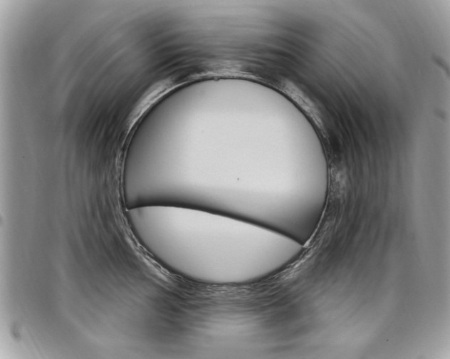 X0000097971002200803241015