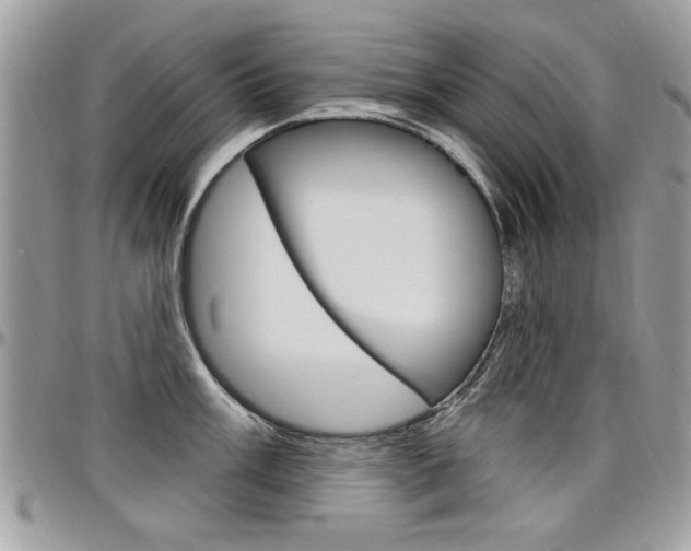 X0000097971003200803241015