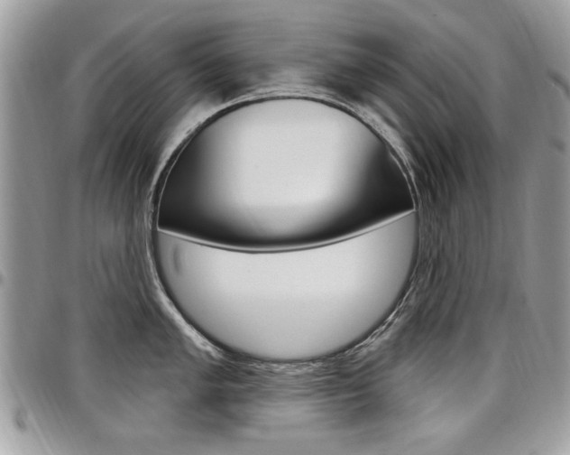 X0000097971005200803241015
