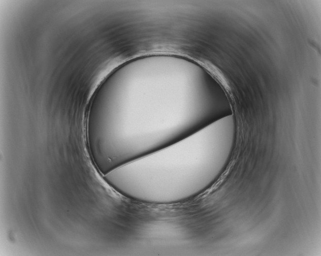 X0000097971006200803241015
