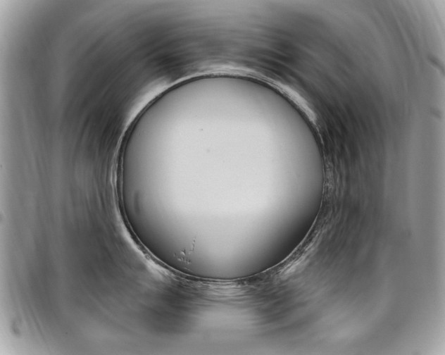 X0000097971007200803241015