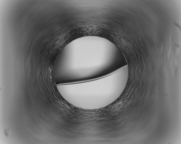 X0000097971010200803241014