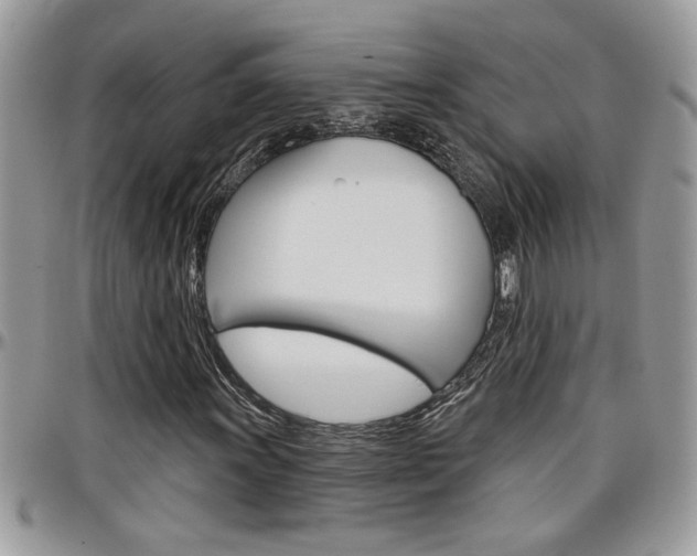 X0000097971011200803241014