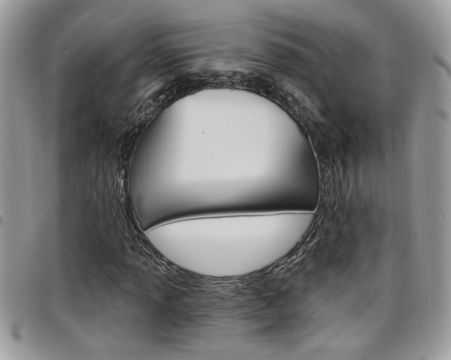 X0000097971013200803241014