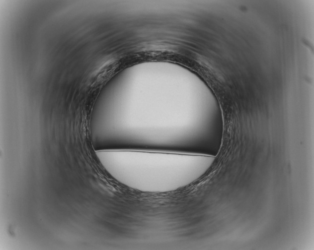 X0000097971014200803241015