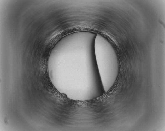 X0000097971015200803241015