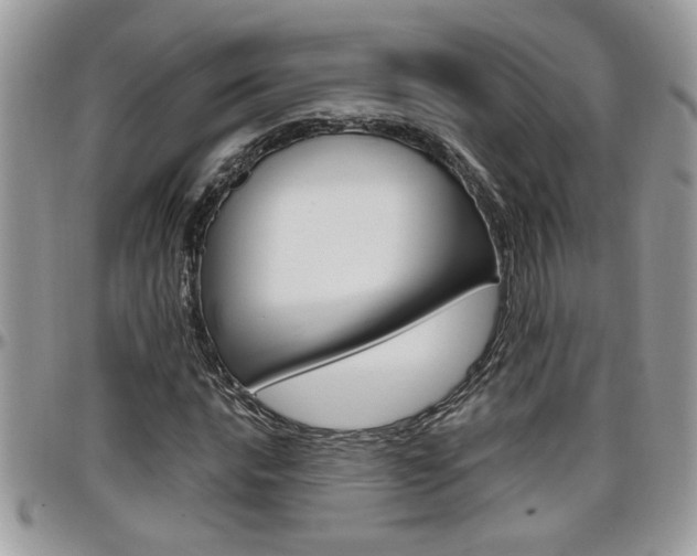 X0000097971016200803241015