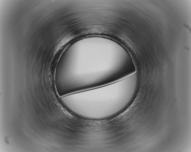 X0000097971018200803241015