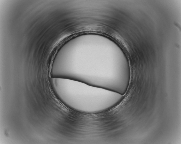 X0000097971019200803241015