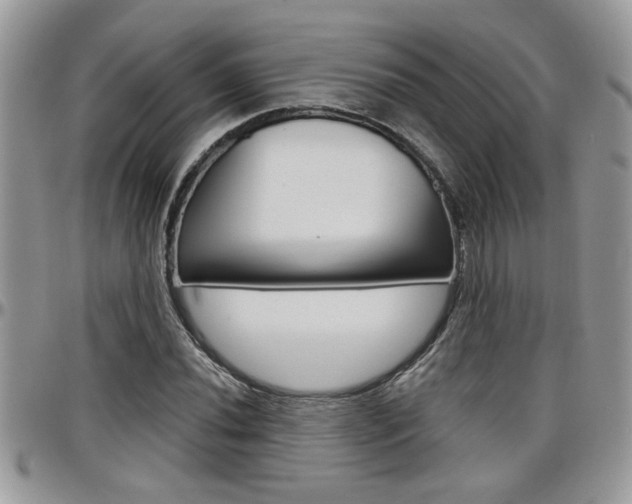 X0000097971020200803241015