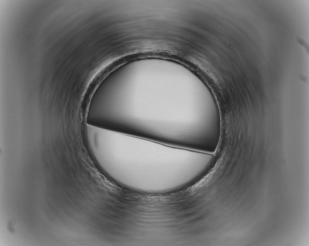 X0000097971021200803241015