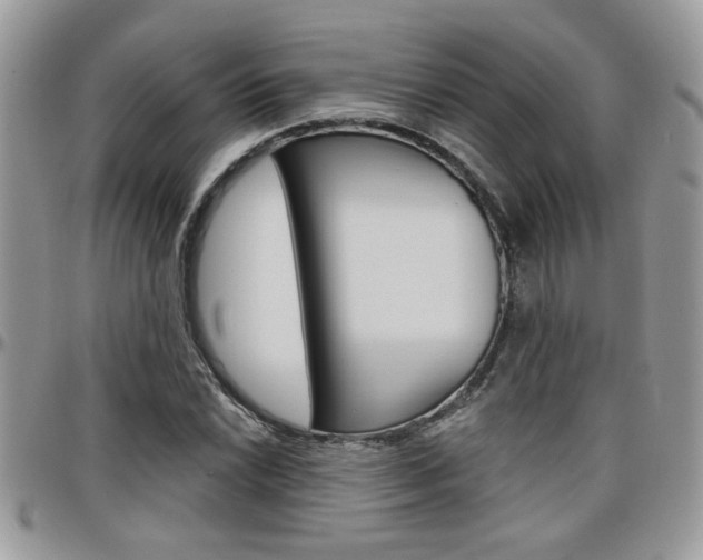X0000097971022200803241015