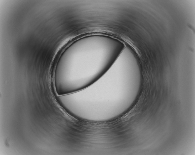 X0000097971024200803241015