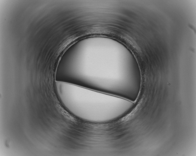 X0000097971025200803241015