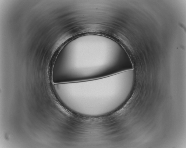 X0000097971026200803241015