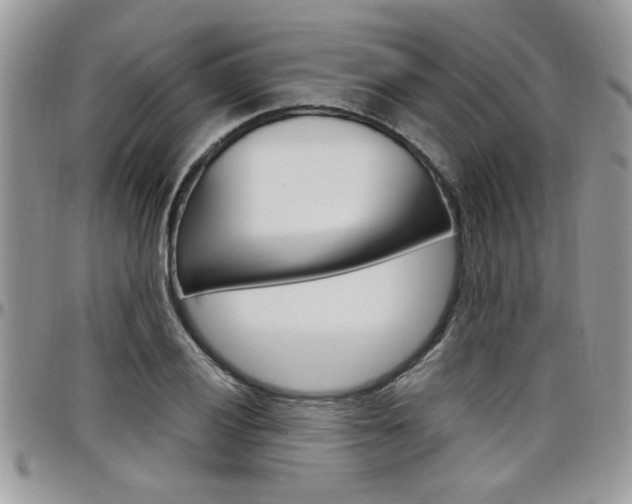 X0000097971028200803241015