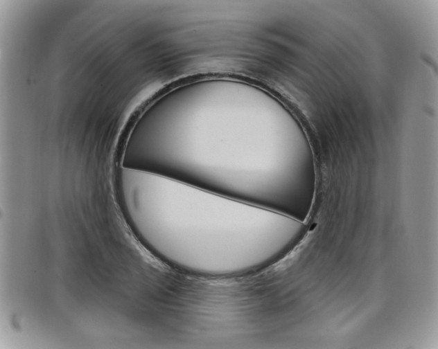 X0000097971029200803241015