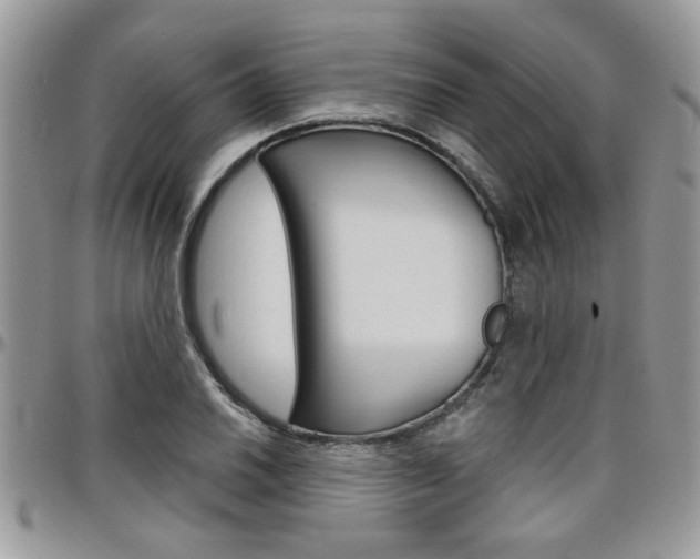 X0000097971030200803241015