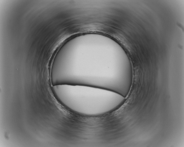 X0000097971031200803241015