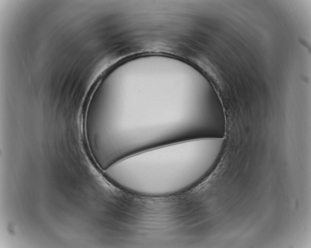 X0000097971032200803241015