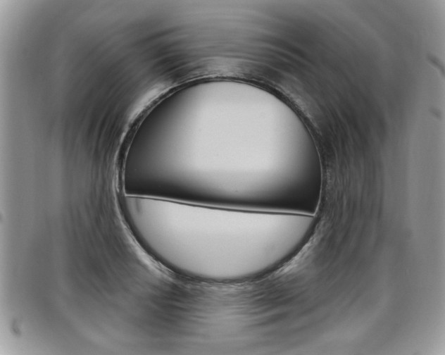 X0000097971034200803241015