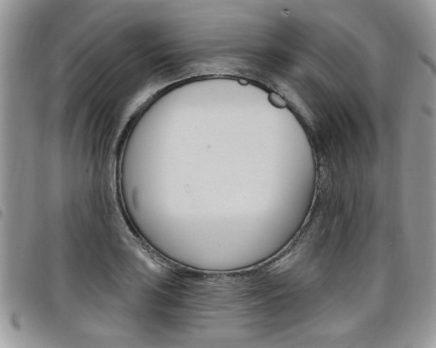 X0000097971035200803241015
