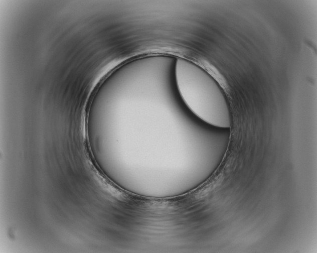 X0000097971036200803241015