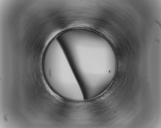 X0000097971038200803241015