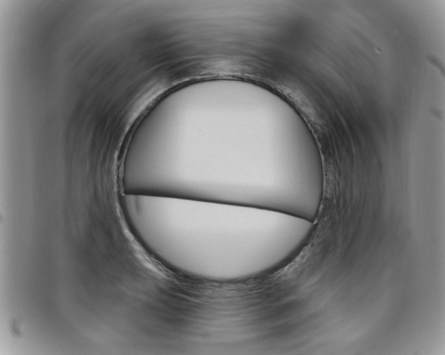 X0000097971039200803241015