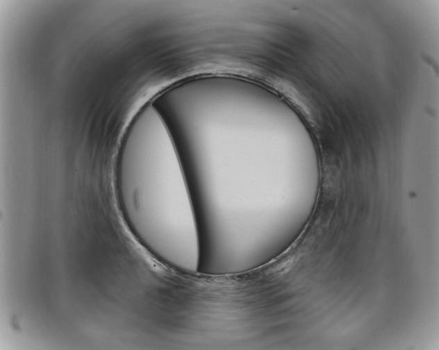 X0000097971040200803241015