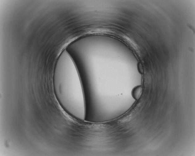 X0000097971041200803241015