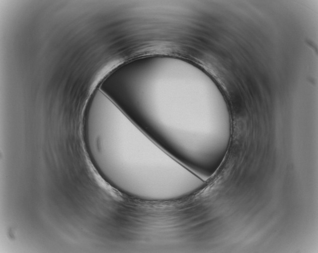 X0000097971042200803241015
