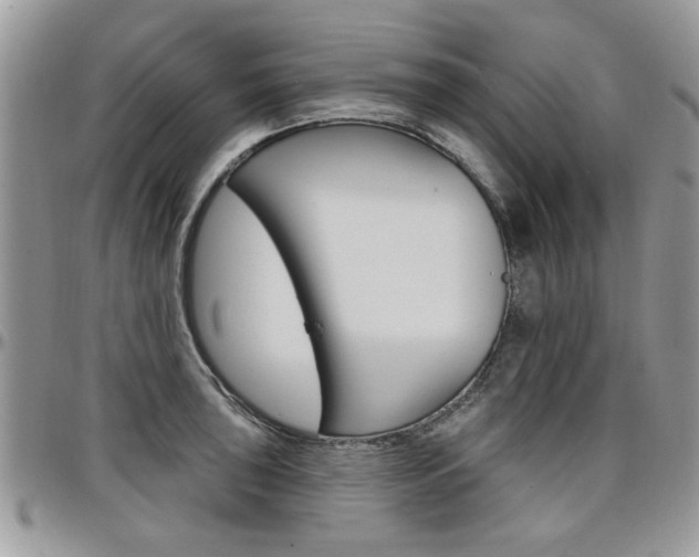 X0000097971043200803241015