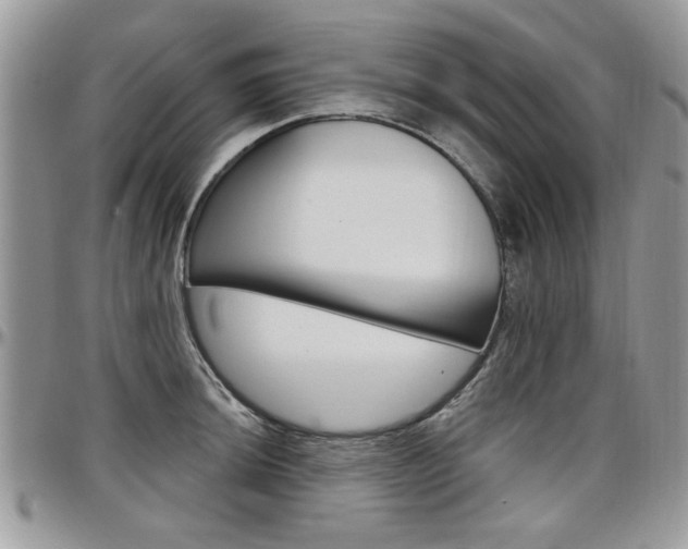 X0000097971044200803241015