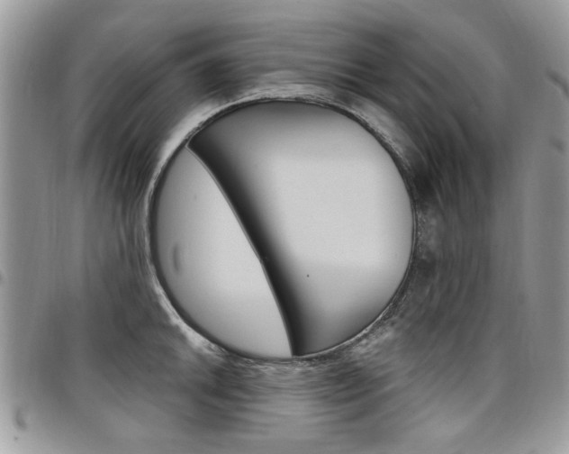 X0000097971046200803241015