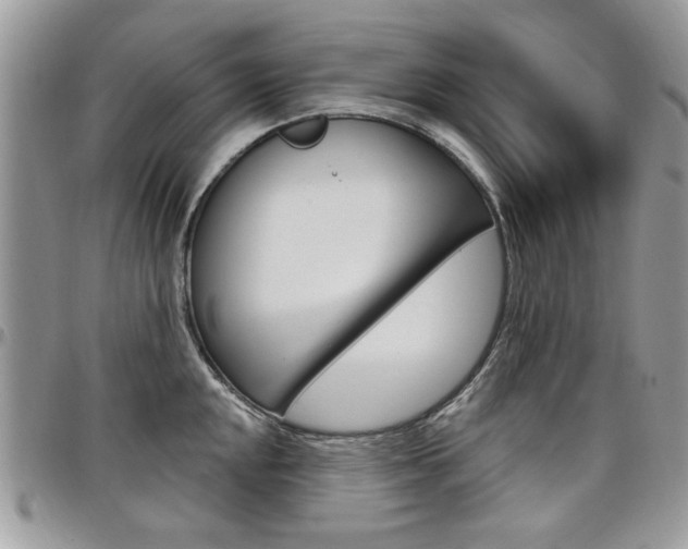 X0000097971048200803241015