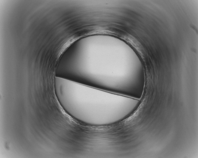 X0000097971049200803241015