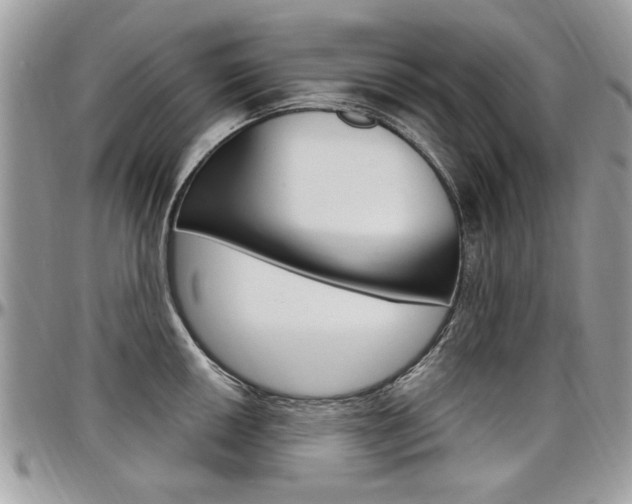 X0000097971050200803241015