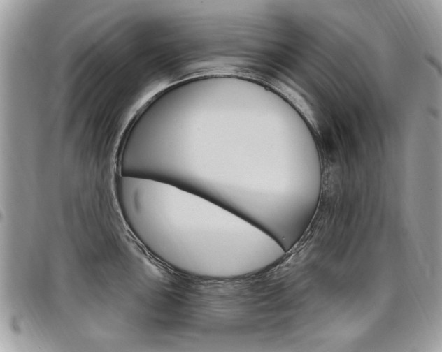 X0000097971051200803241015