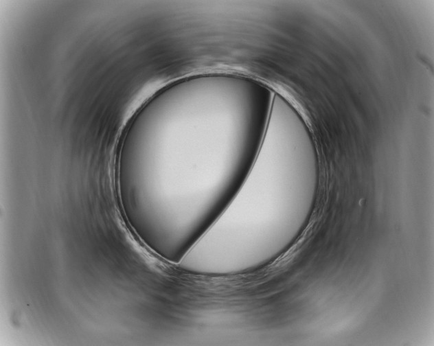 X0000097971054200803241015