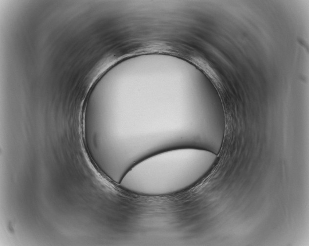 X0000097971055200803241015