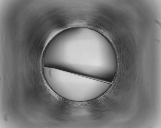X0000097971056200803241015