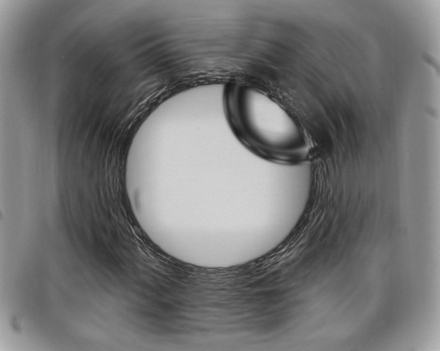 X0000097971060200803241014