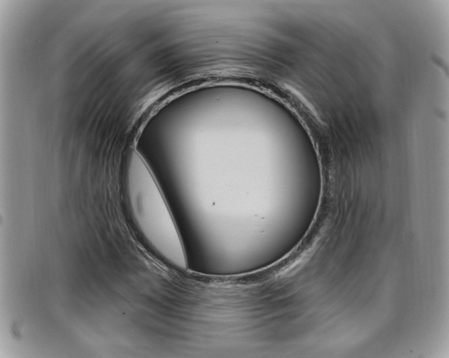 X0000097971065200803241014