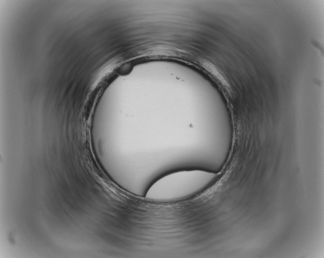 X0000097971067200803241014