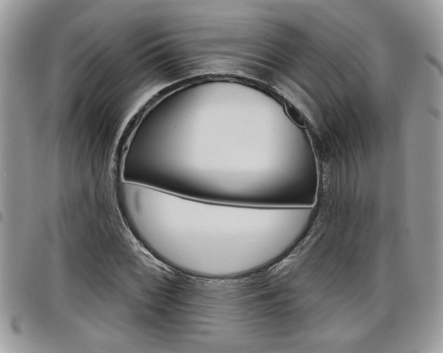 X0000097971068200803241014
