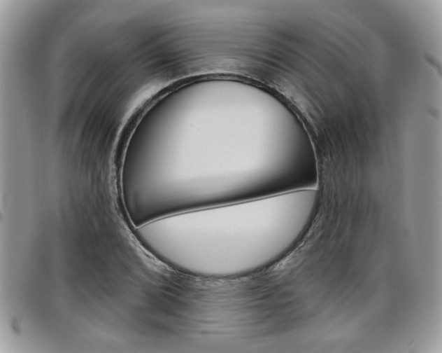 X0000097971072200803241014