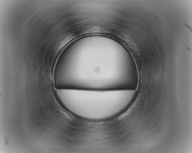 X0000097971073200803241014