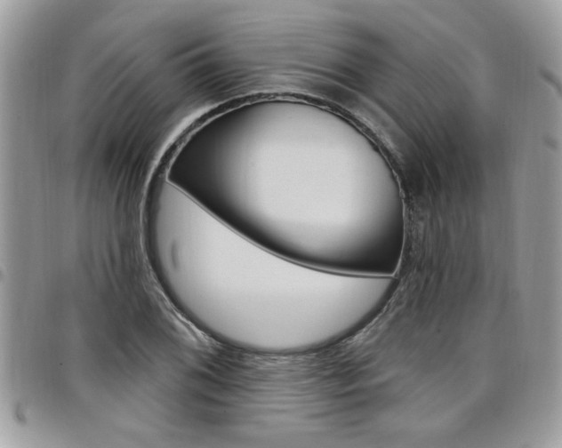 X0000097971076200803241014
